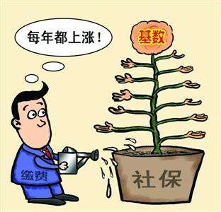 個人和單位繳納的社保，待遇會有什么區別？ 第1張