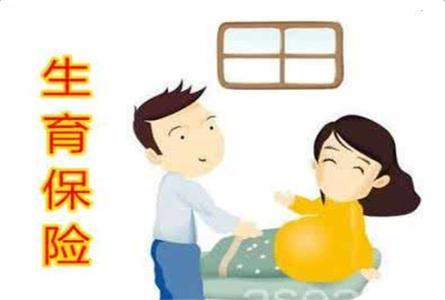 生育保險:產(chǎn)檢費用醫(yī)保能夠報銷嗎? 第1張 生育保險:產(chǎn)檢費用醫(yī)保能夠報銷嗎? 第1張